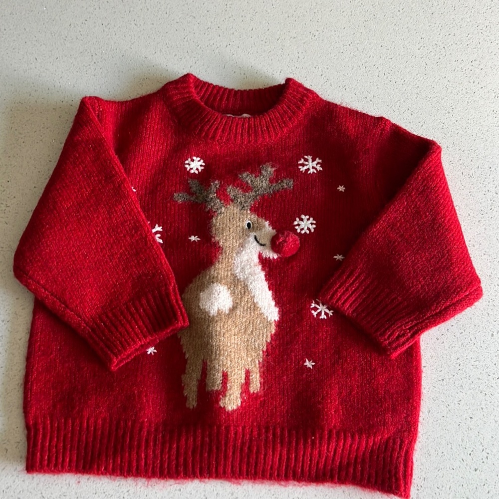 Beautiful ZARA reindeer sweater